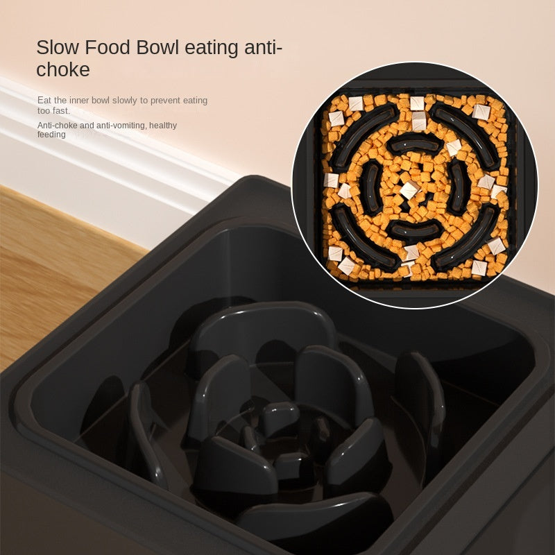 Dog Double Bowls Stainless Stand Adjustable Products