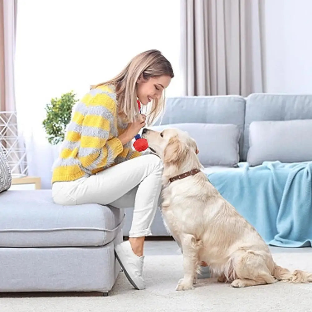 Interactive Dog Toy Ball Interactive Teether With Rope Dog Ball