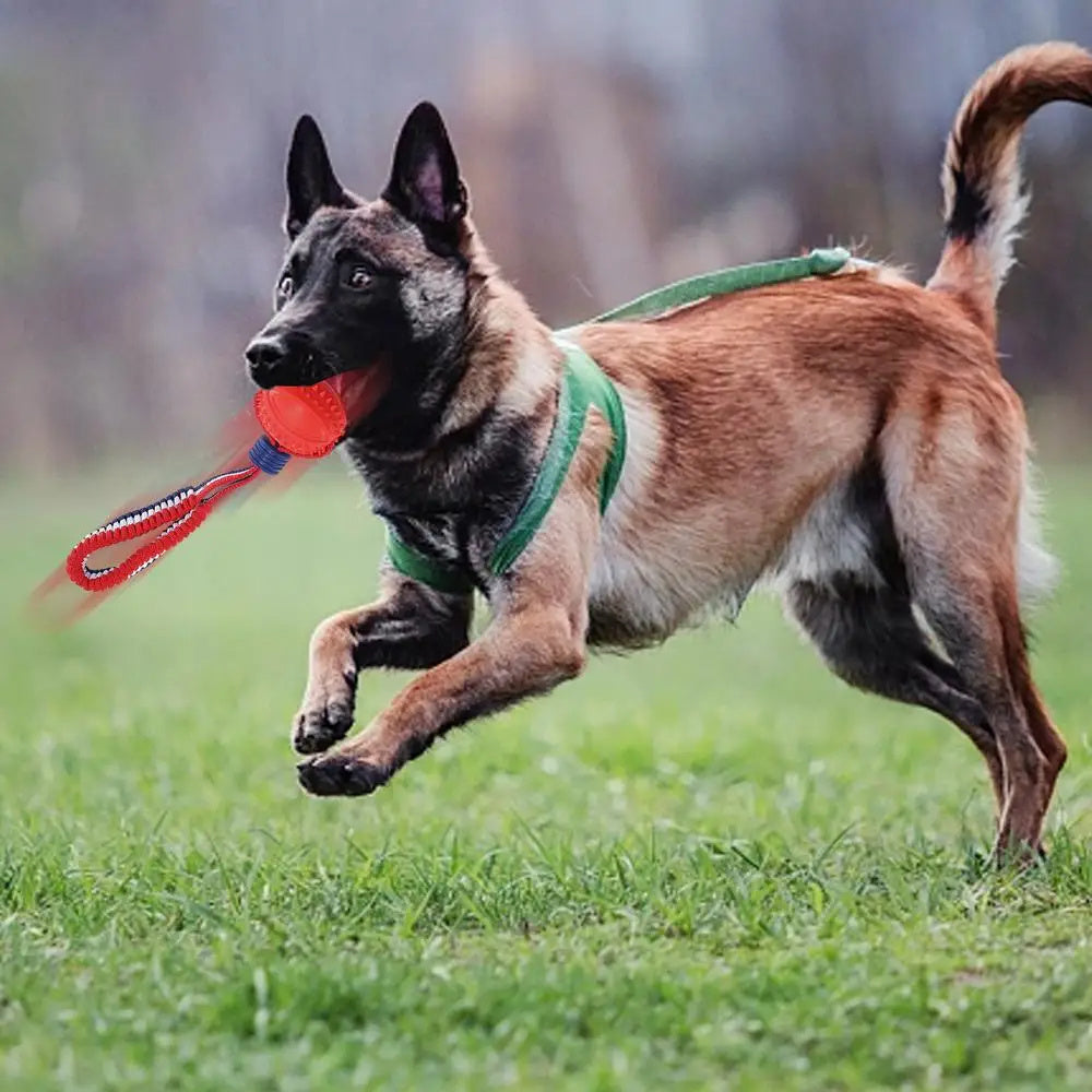 Interactive Dog Toy Ball Interactive Teether With Rope Dog Ball