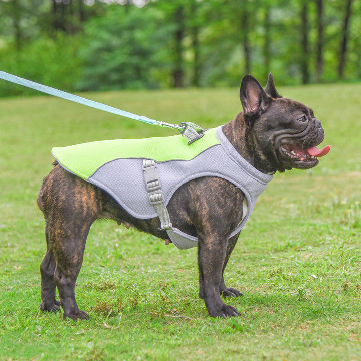 Summer Pet Dog Cooling Vest Heat Resistant Dogs Clothes Breathable